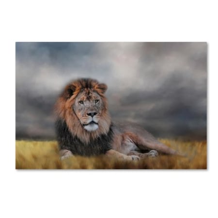 TRADEMARK FINE ART Jai Johnson 'Lion Waiting For The Storm' Canvas Art, 16x24 ALI14397-C1624GG